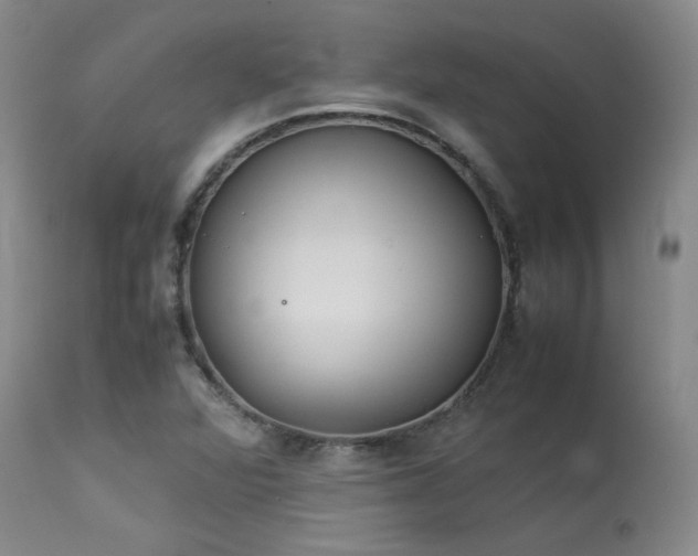 X0000114111360200910051503
