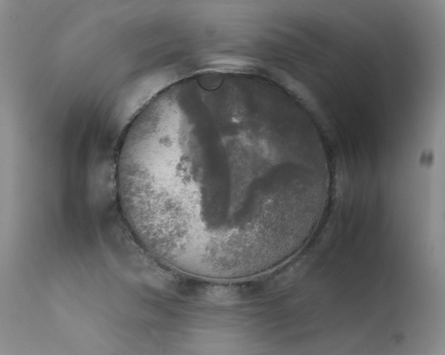 X0000114111362200910051503