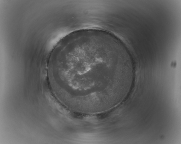 X0000114111363200910051503