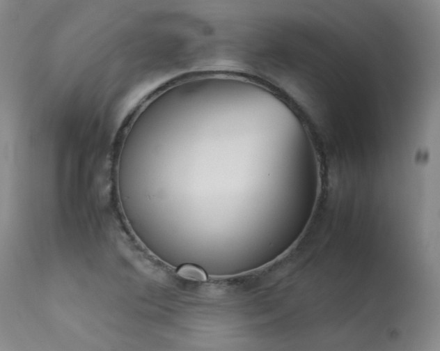 X0000114111364200910051503