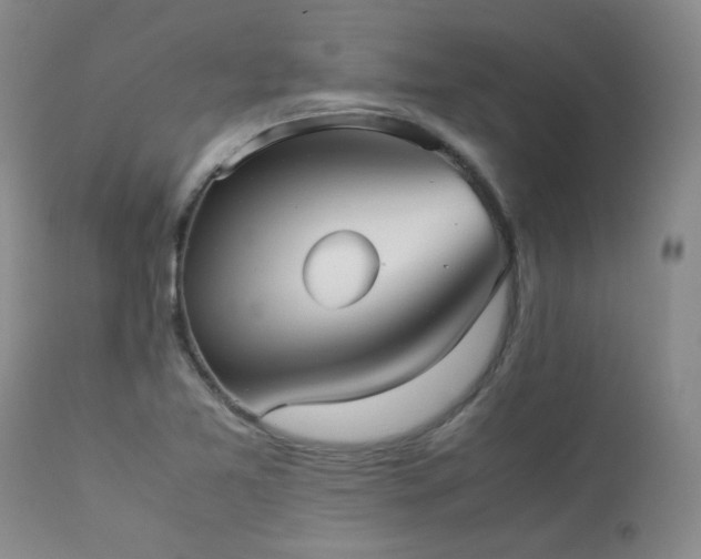 X0000114111365200910051503