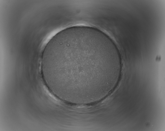 X0000114111367200910051502