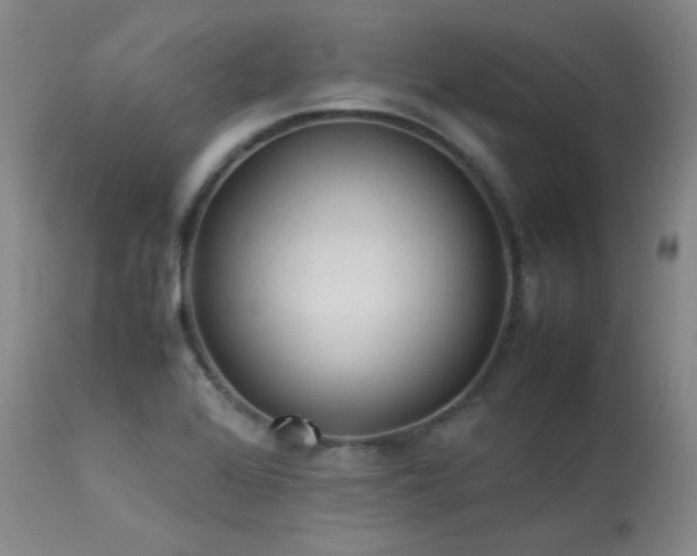 X0000114111368200910051502