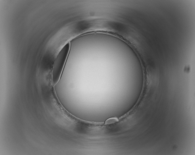 X0000114111369200910051502