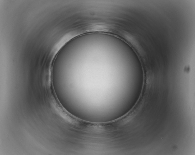 X0000114111370200910051502