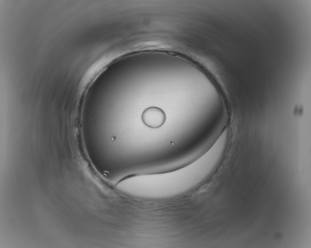 X0000114111373200910051502