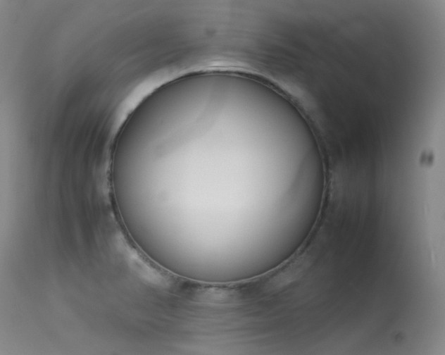 X0000114111374200910051502