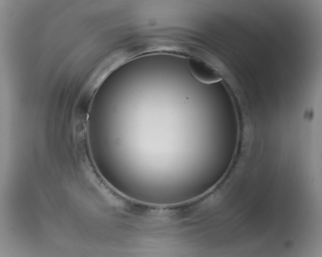 X0000114111377200910051502