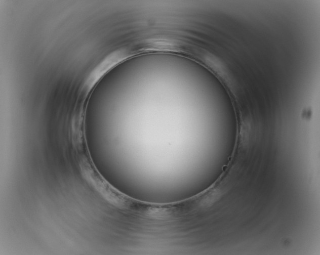 X0000114111378200910051502