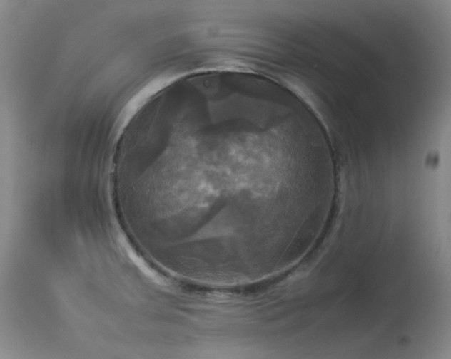 X0000114111379200910051502