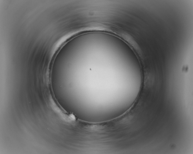 X0000114111380200910051502