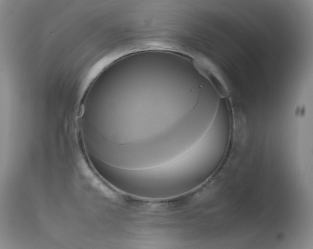 X0000114111381200910051502