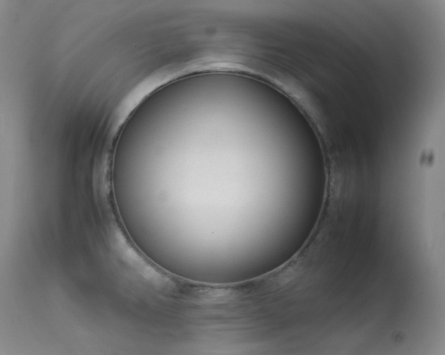 X0000114111382200910051502