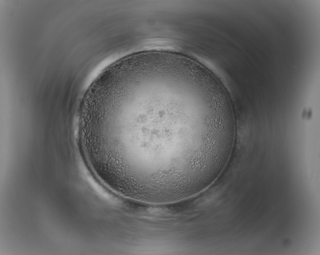 X0000114111383200910051502
