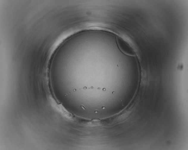 X0000114111384200910051502