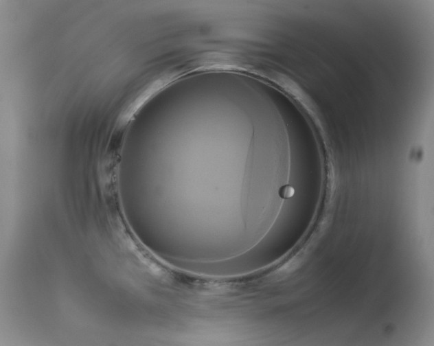 X0000114111385200910051502