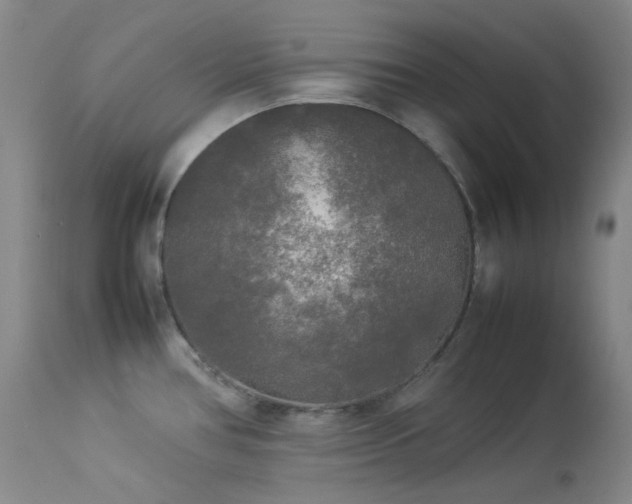 X0000114111386200910051502