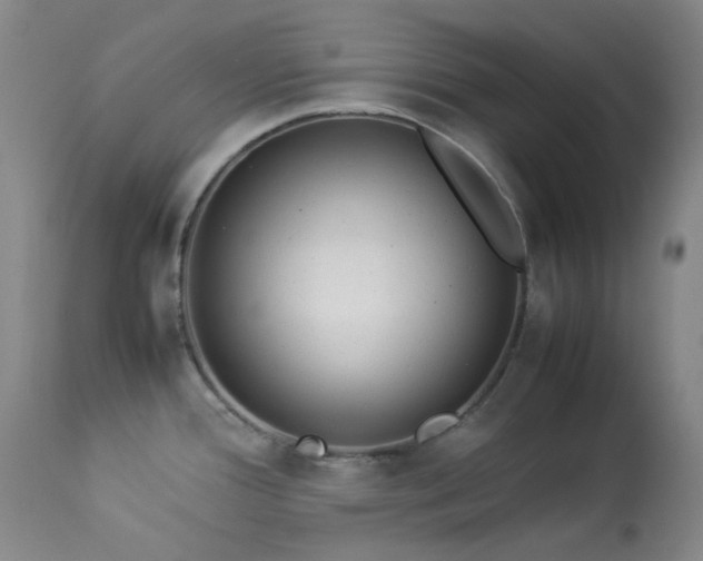 X0000114111388200910051502