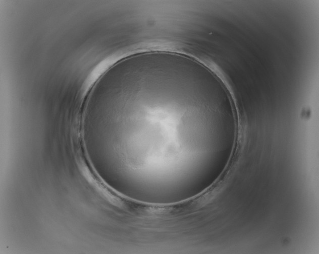X0000114111389200910051502