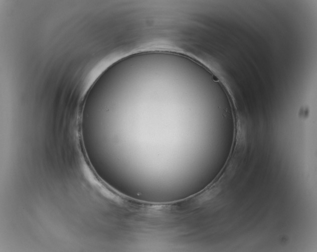 X0000114111390200910051502