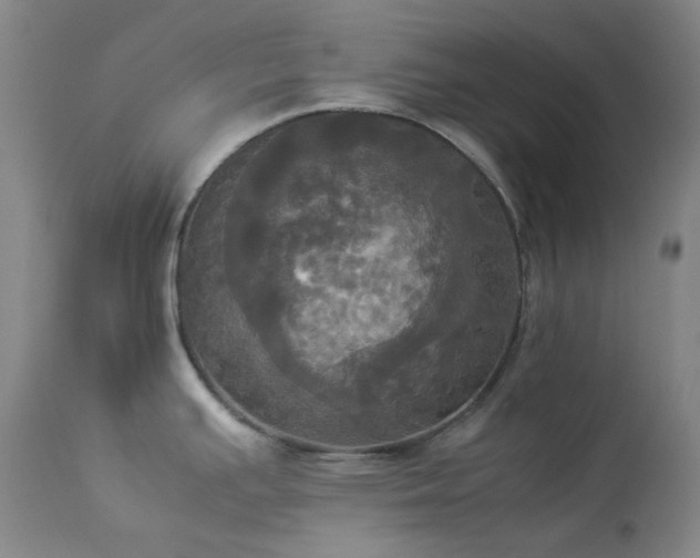 X0000114111391200910051502