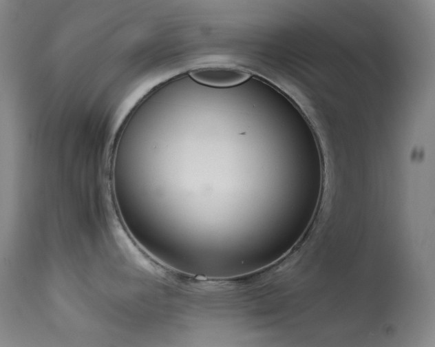X0000114111392200910051502