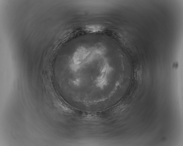 X0000114111393200910051501