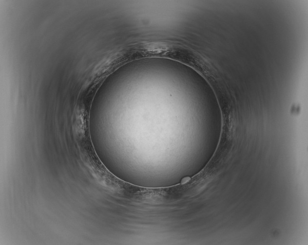X0000114111394200910051501