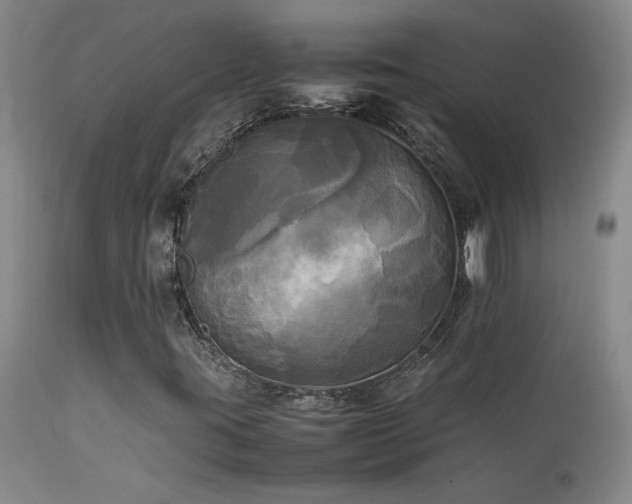 X0000114111395200910051501