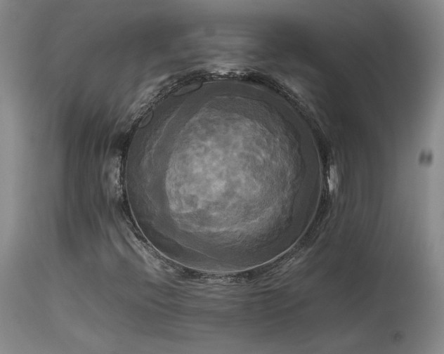 X0000114111396200910051501