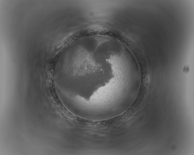 X0000114111397200910051501