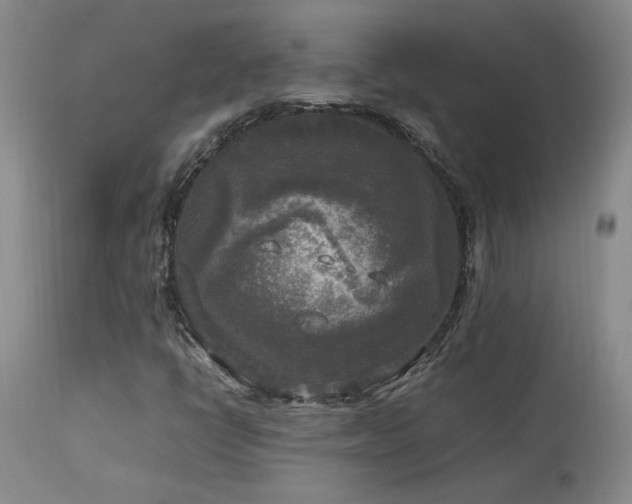 X0000114111398200910051501