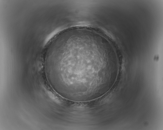 X0000114111400200910051501