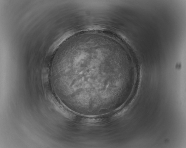 X0000114111401200910051501