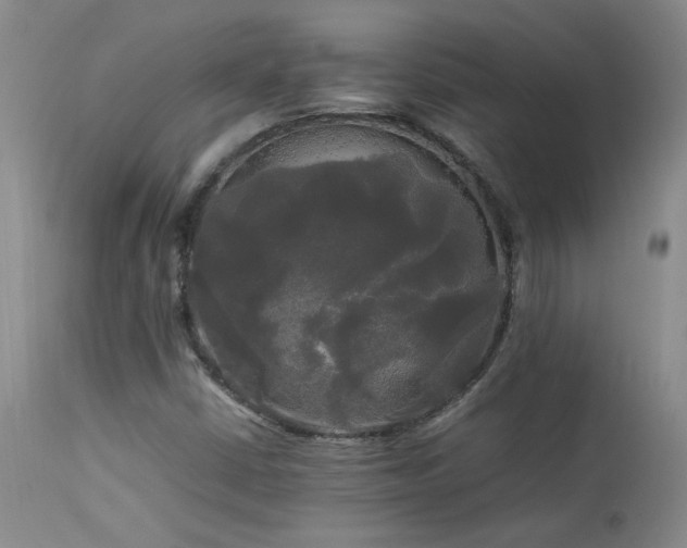 X0000114111402200910051501