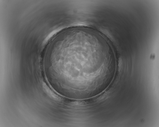 X0000114111404200910051501