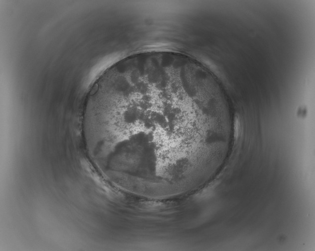 X0000114111405200910051501