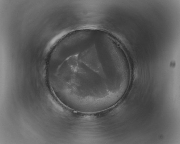 X0000114111406200910051501