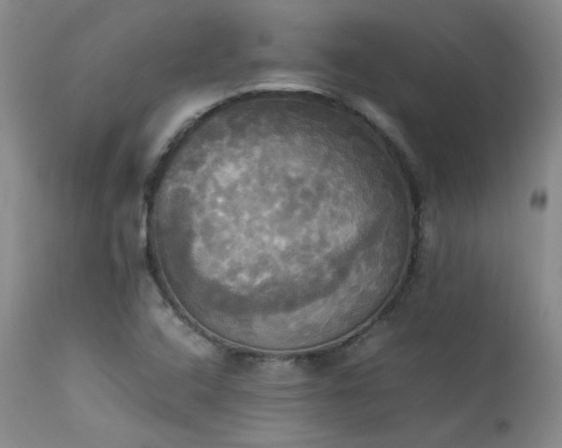 X0000114111408200910051502
