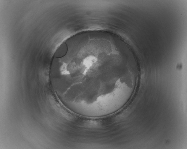X0000114111409200910051502