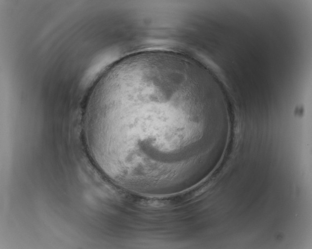 X0000114111411200910051502