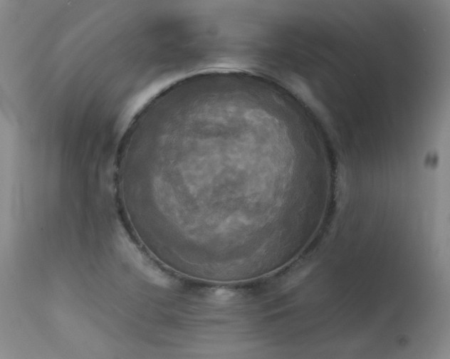 X0000114111412200910051502