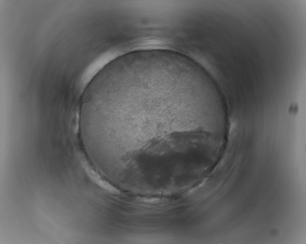 X0000114111413200910051502