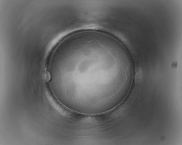 X0000114111414200910051502