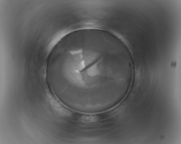 X0000114111415200910051502