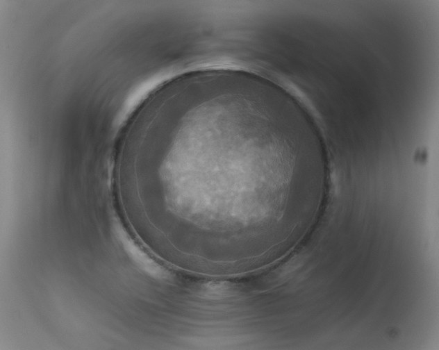 X0000114111416200910051502