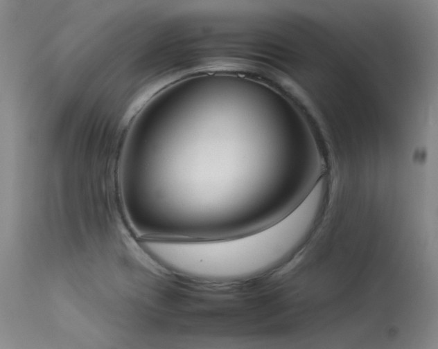 X0000114111417200910051502