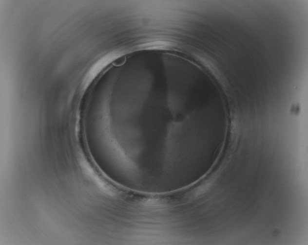 X0000114111418200910051502