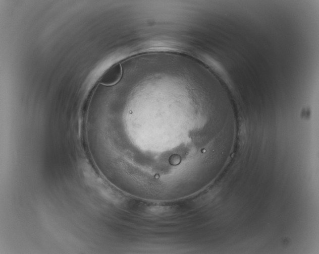 X0000114111419200910051502