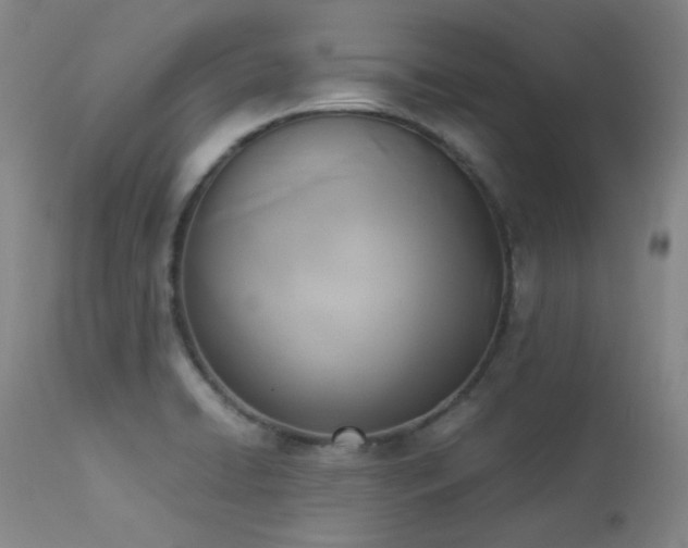 X0000114111422200910051502